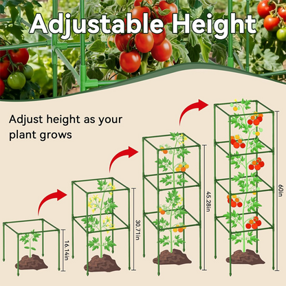 Garden Raised Bed Planter Boxes with Trellis