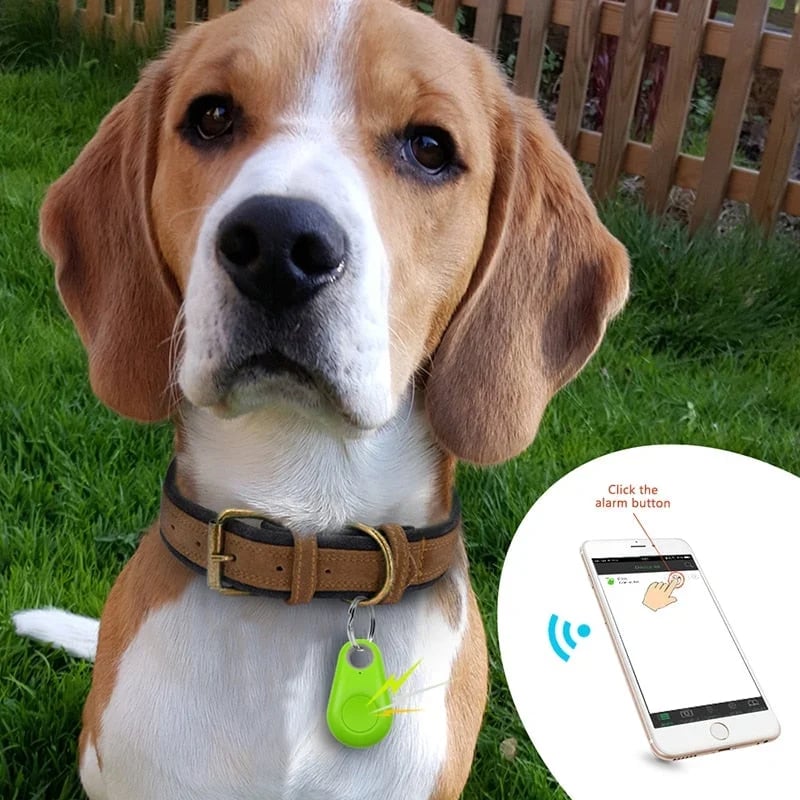📢Limited-Time Offer🔥Intelligent Tracking Locator