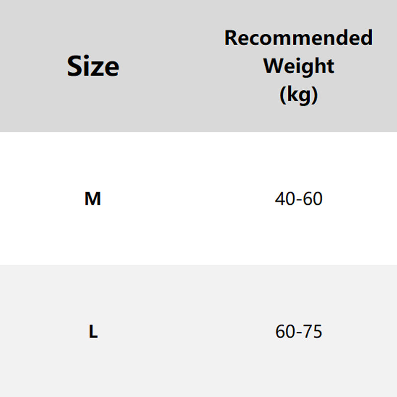 🔥2025 Hot Sale🔥Seamless High Waist Lace Panties for Women